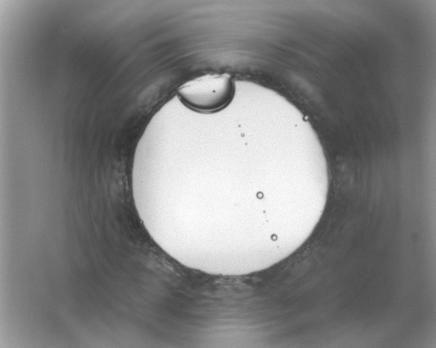 X0000067000918200604072145