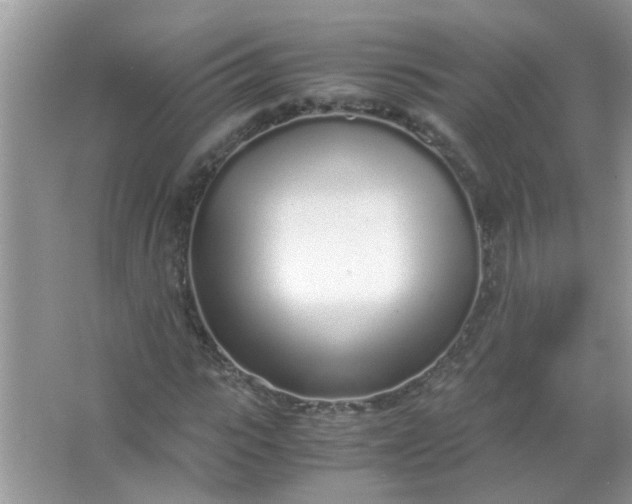 X0000067000919200604072145