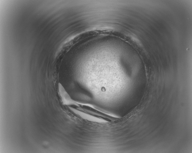 X0000067000920200604072145