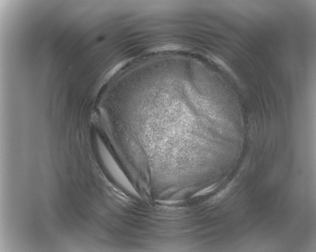 X0000067000921200604072145