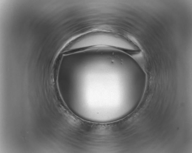 X0000067000923200604072145