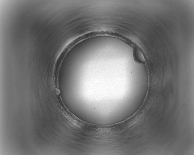 X0000067000927200604072145