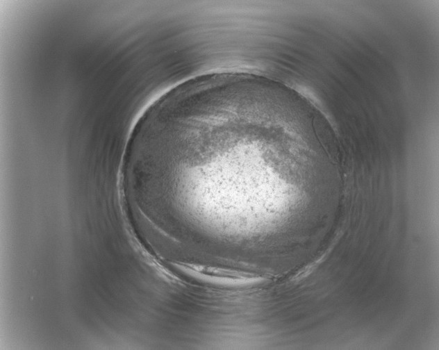 X0000067000928200604072145