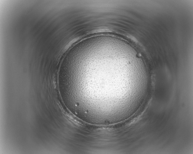 X0000067000929200604072145