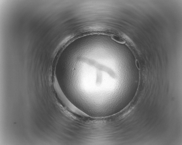 X0000067000930200604072145