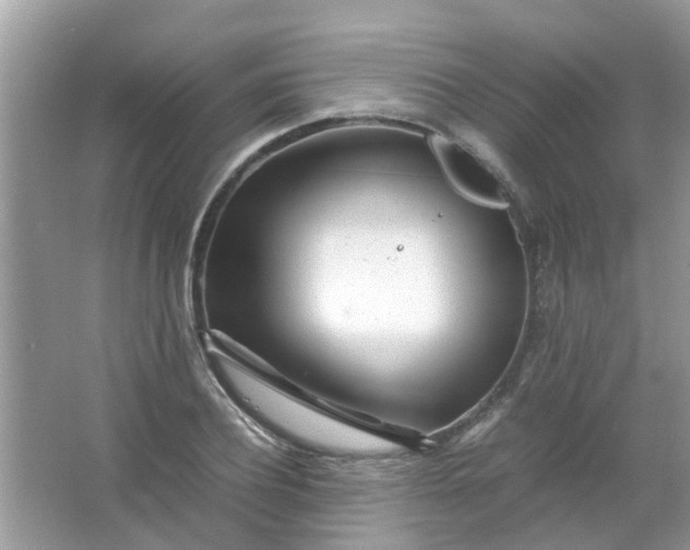 X0000067000932200604072145