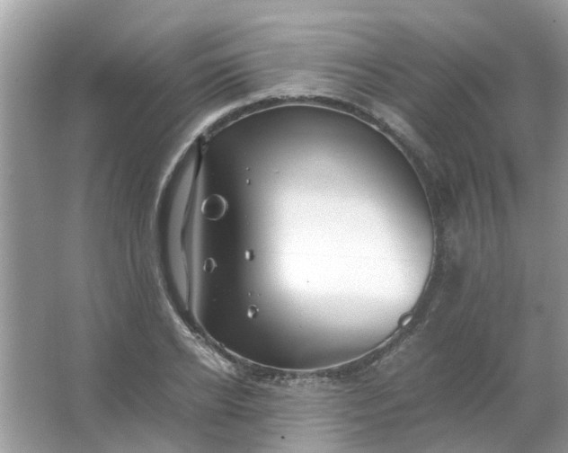 X0000067000934200604072145