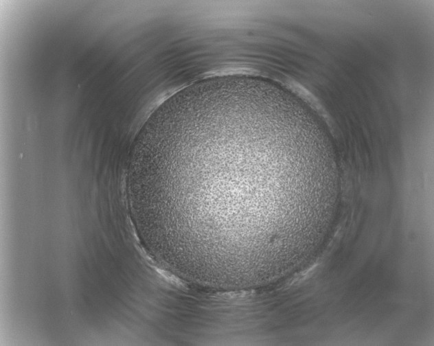 X0000067000937200604072145