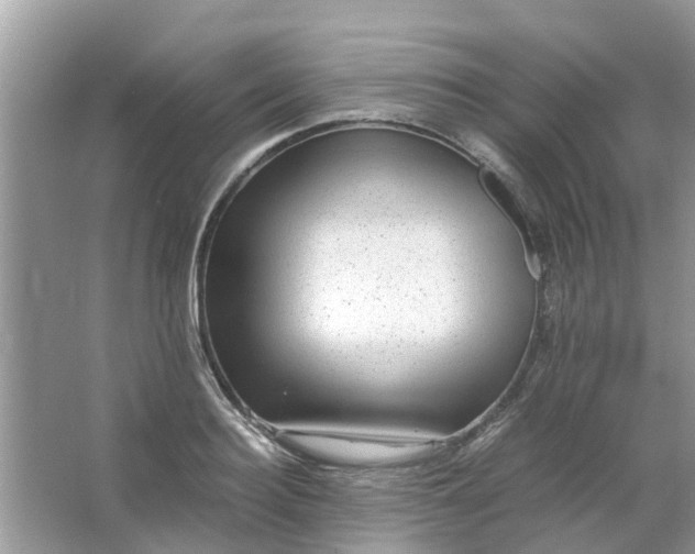 X0000067000940200604072145