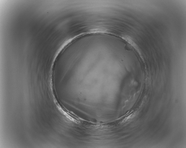 X0000067000941200604072145