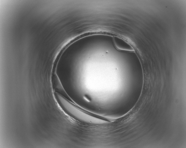 X0000067000943200604072145