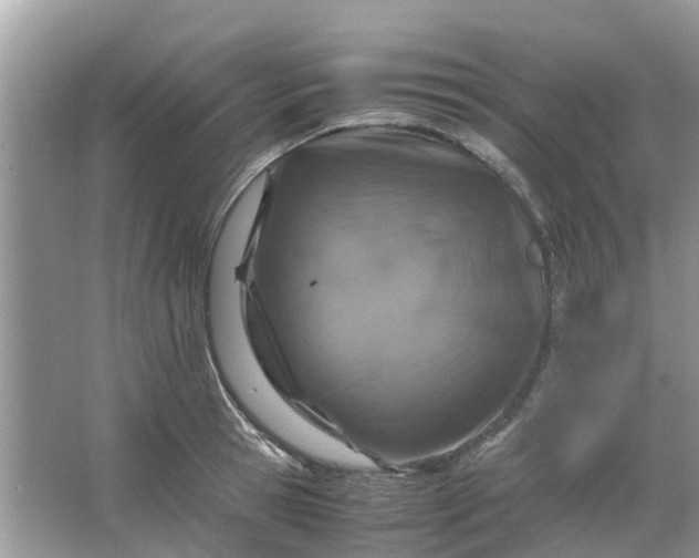 X0000067000945200604072145