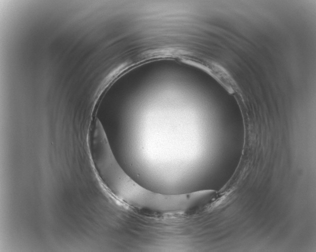 X0000067000946200604072145