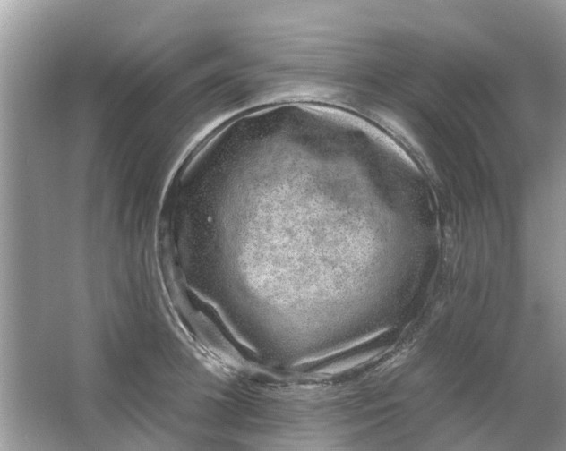 X0000067000948200604072145