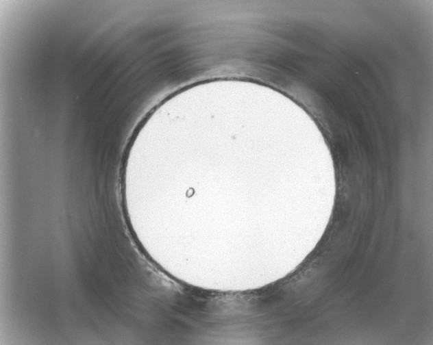 X0000067000950200604072145