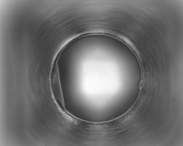 X0000067000951200604072145