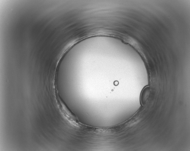 X0000067000954200604072145