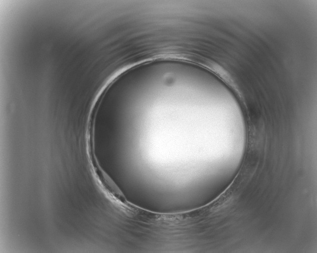 X0000067000955200604072145