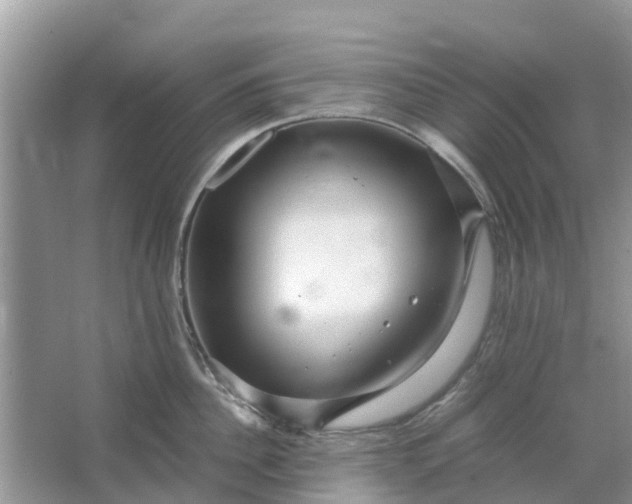 X0000067000956200604072145