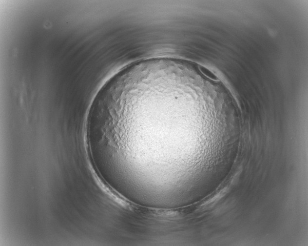 X0000067000957200604072145