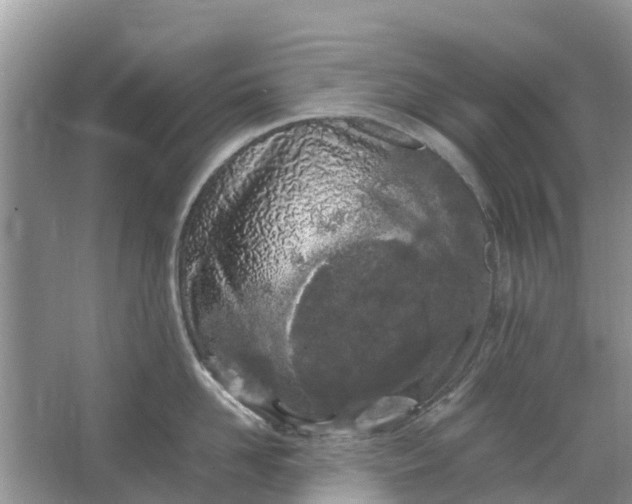 X0000067000958200604072146