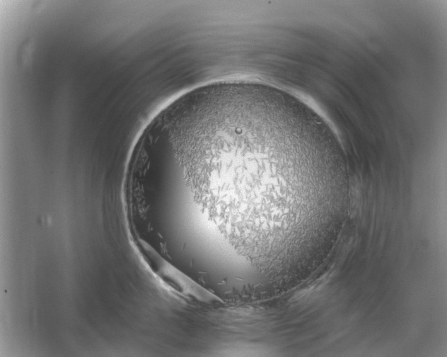 X0000067000959200604072146