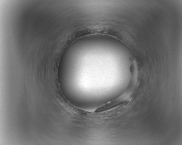 X0000067000961200604072145