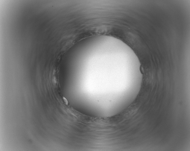 X0000067000962200604072145