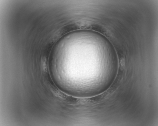 X0000067000963200604072145