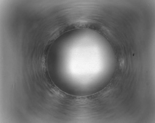 X0000067000964200604072145