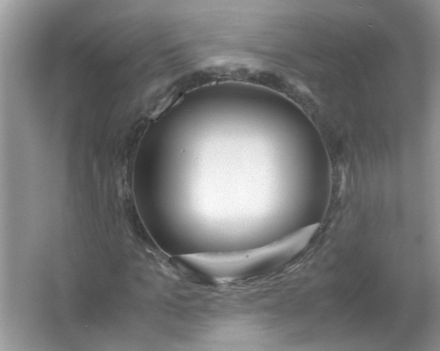 X0000067000965200604072145