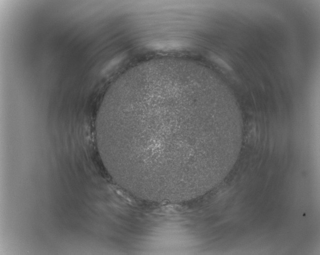 X0000067000966200604072145