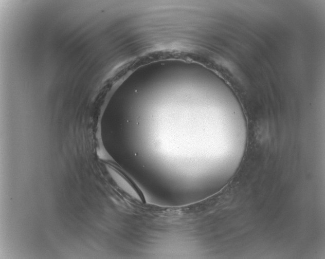 X0000067000968200604072145