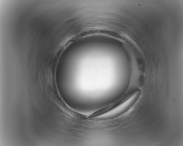 X0000067000969200604072145