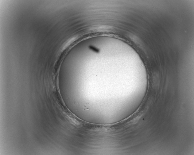 X0000067000970200604072145