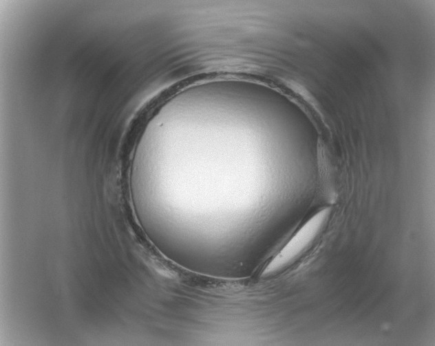 X0000067000971200604072145