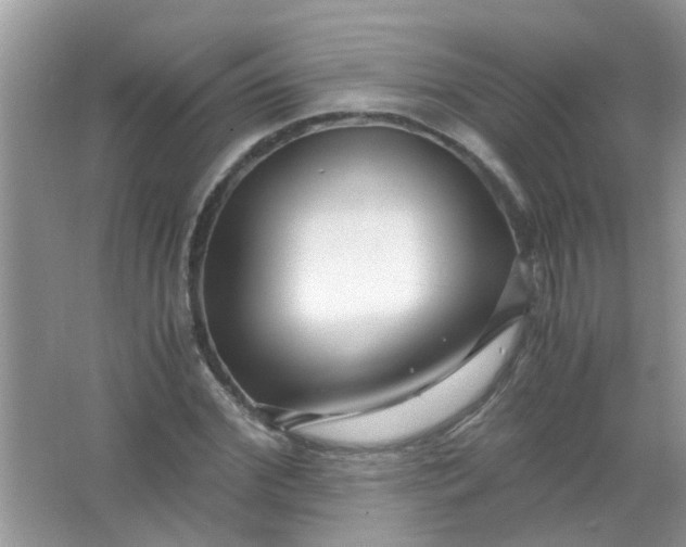 X0000067000972200604072145