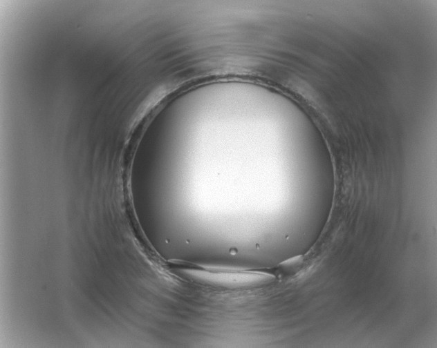 X0000067000978200604072144