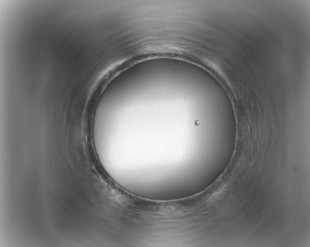 X0000067000979200604072144