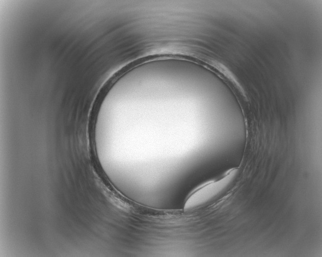 X0000067000980200604072144