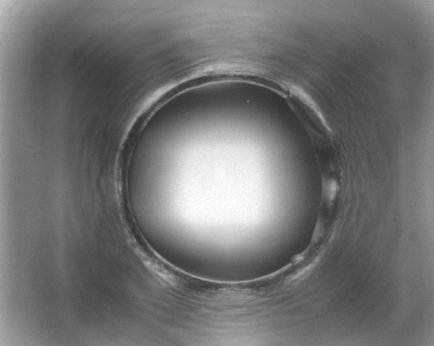 X0000067000981200604072144