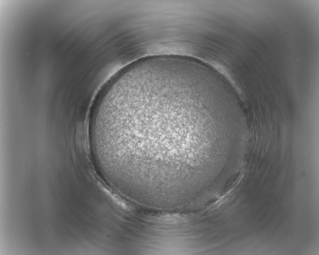 X0000067000982200604072144