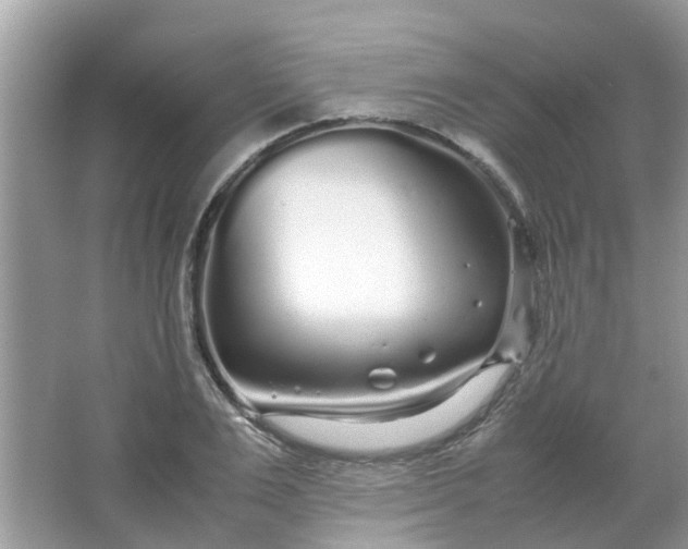 X0000067000983200604072144