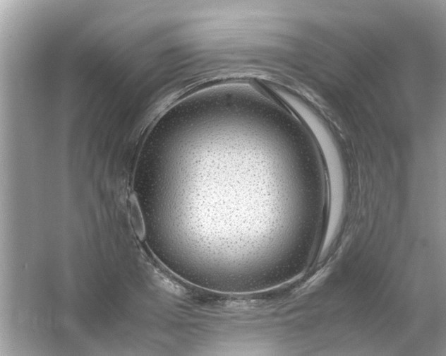 X0000067000985200604072144