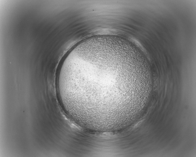 X0000067000986200604072144