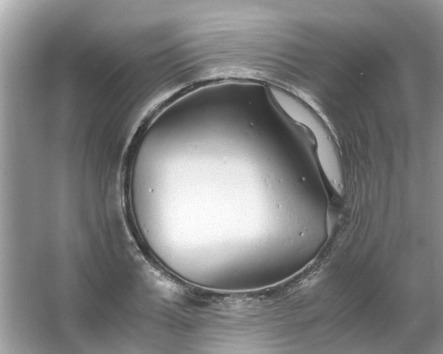 X0000067000987200604072144