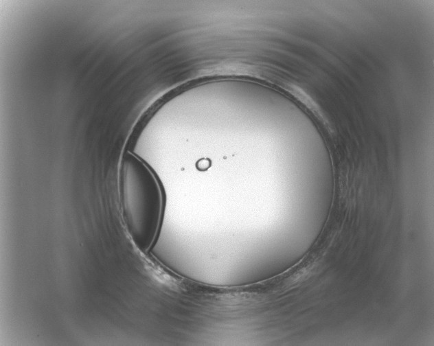 X0000067000988200604072144