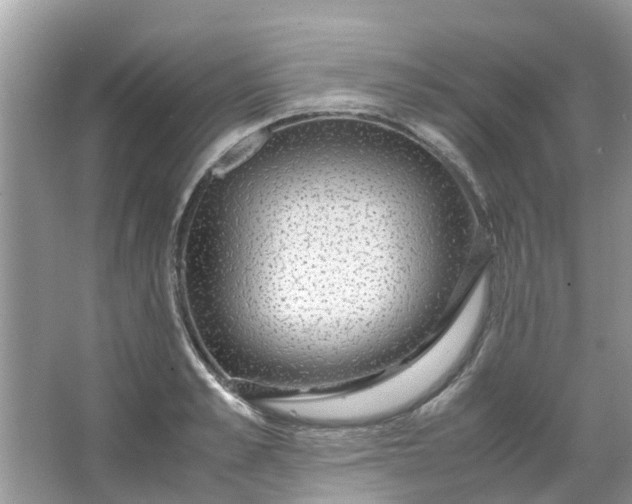 X0000067000989200604072144