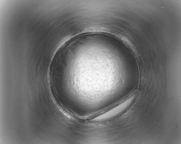 X0000067000990200604072144