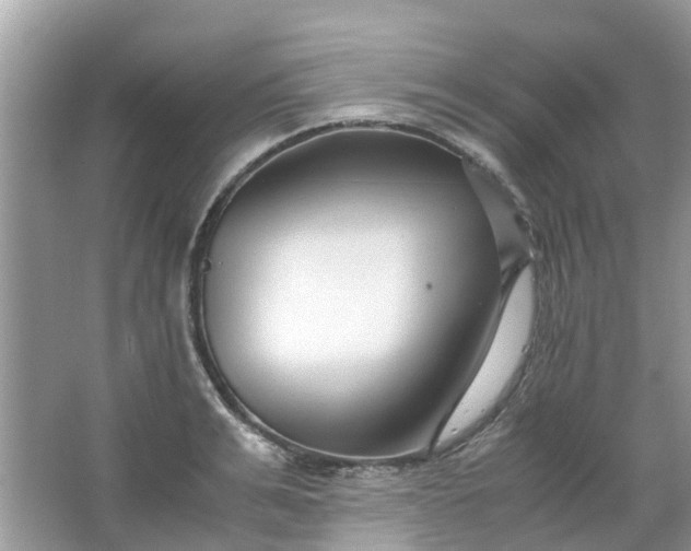 X0000067000991200604072144